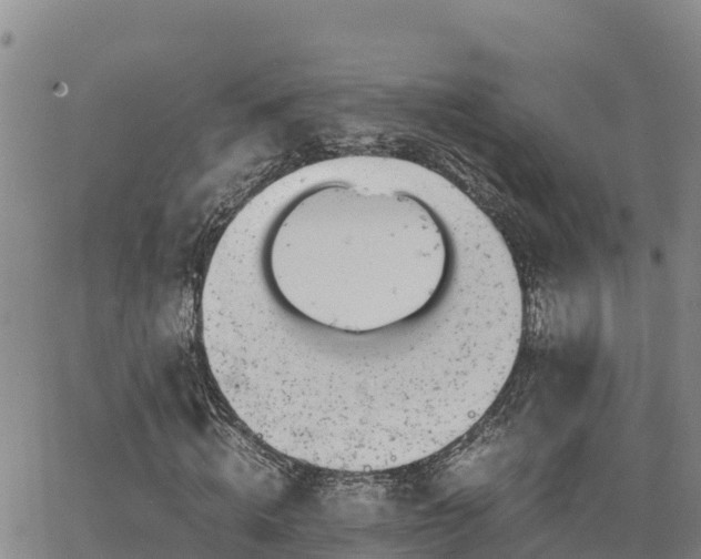 X0000063500820200601231435