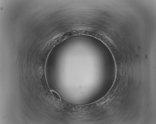 X0000063500821200601231435