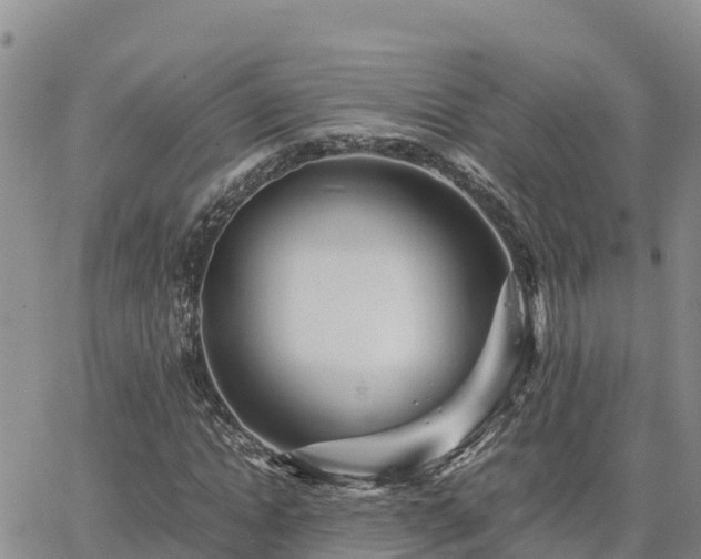 X0000063500822200601231435