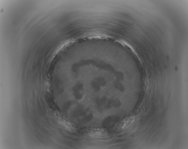 X0000063500823200601231435