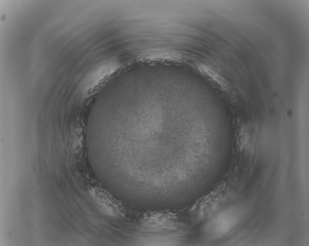 X0000063500824200601231435