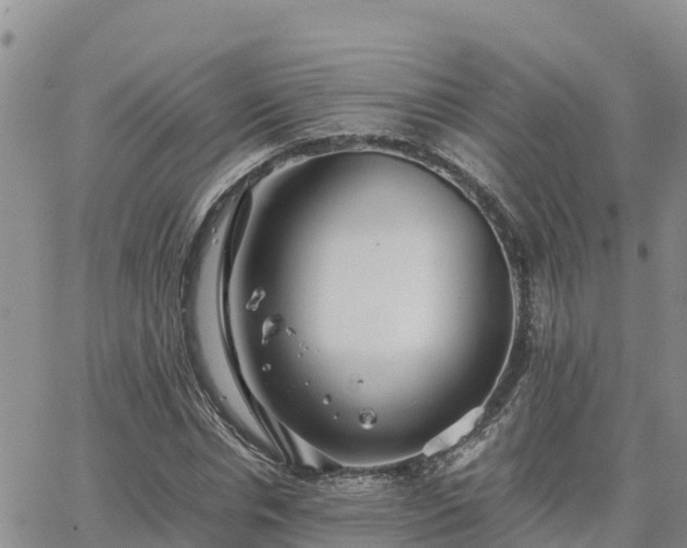 X0000063500826200601231435