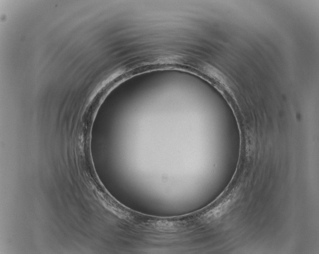 X0000063500827200601231435