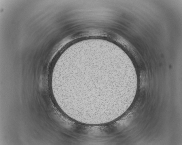 X0000063500828200601231435