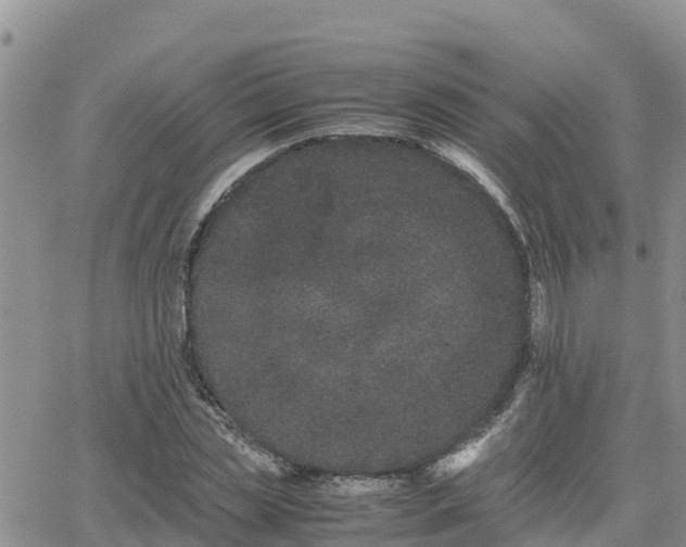 X0000063500829200601231435