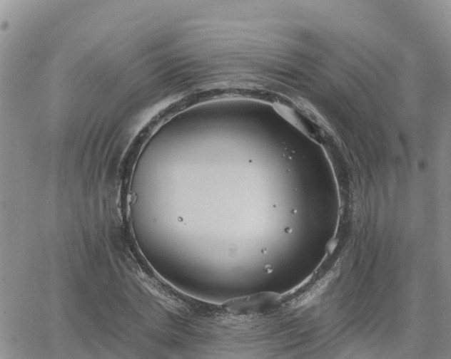 X0000063500830200601231435