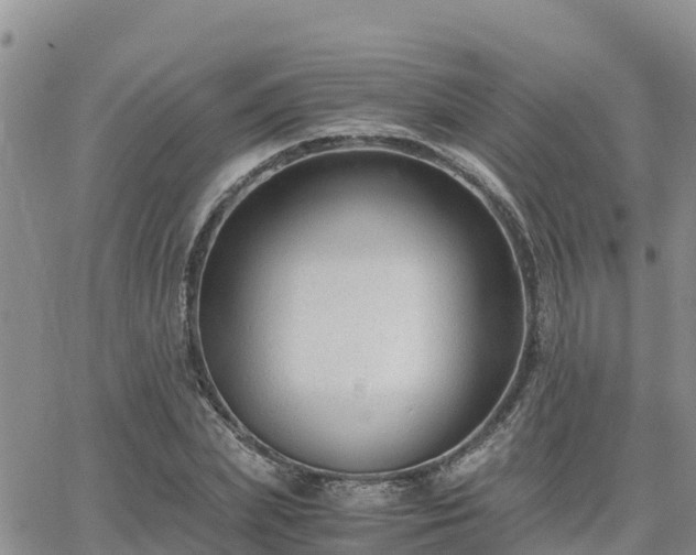 X0000063500831200601231435