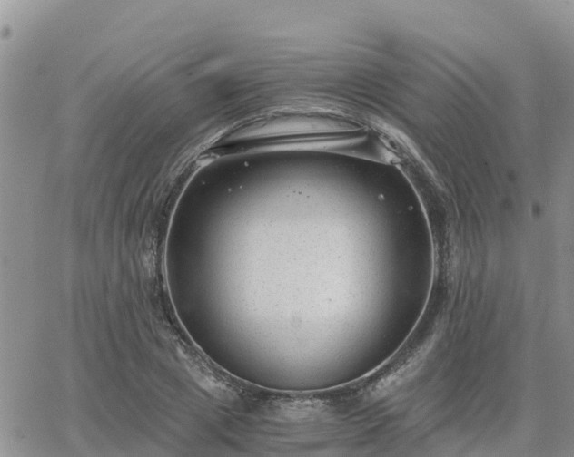 X0000063500833200601231435