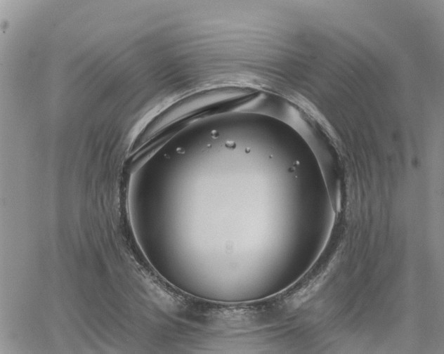 X0000063500834200601231435