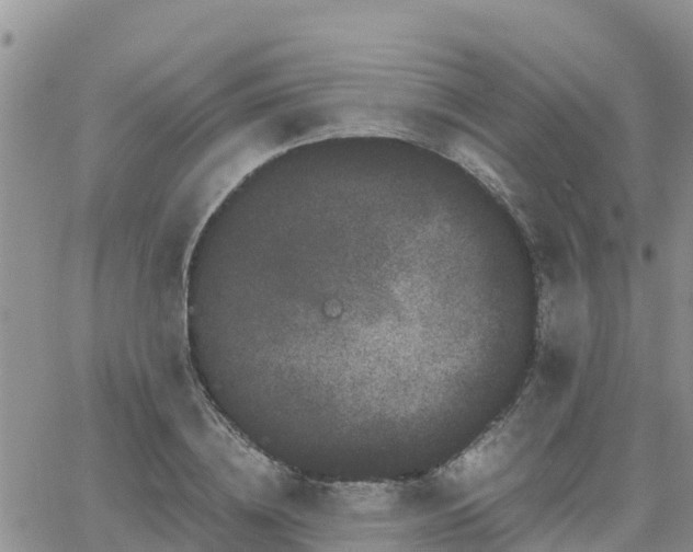 X0000063500836200601231435