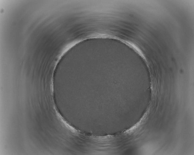 X0000063500839200601231435