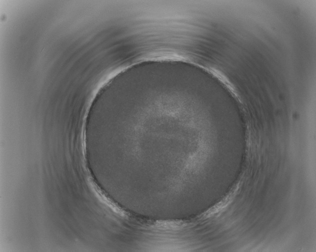 X0000063500840200601231435