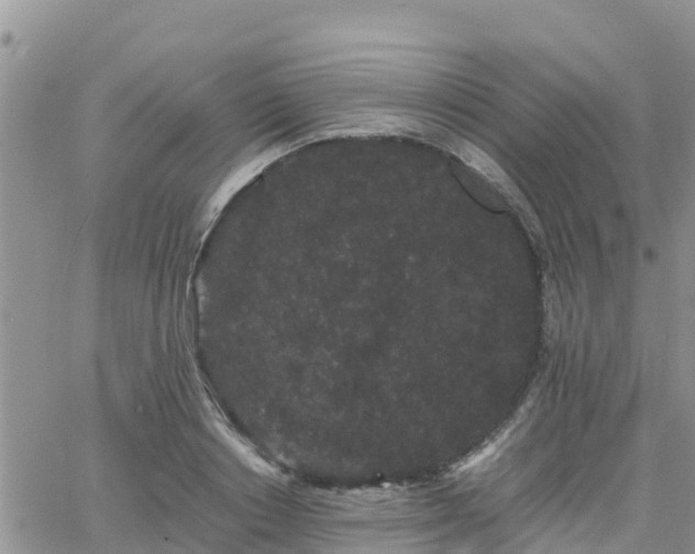 X0000063500842200601231435