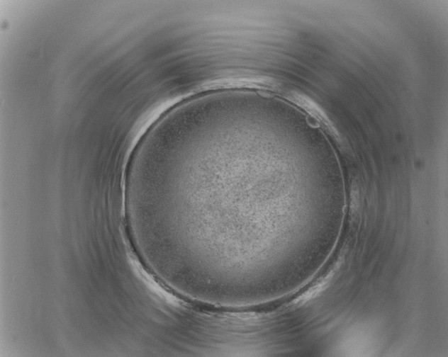 X0000063500844200601231435