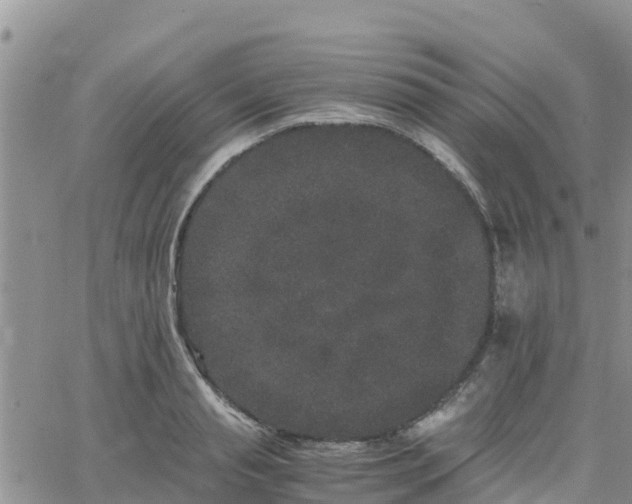 X0000063500845200601231435