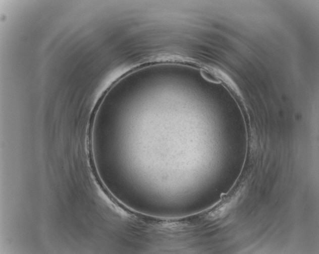 X0000063500847200601231435