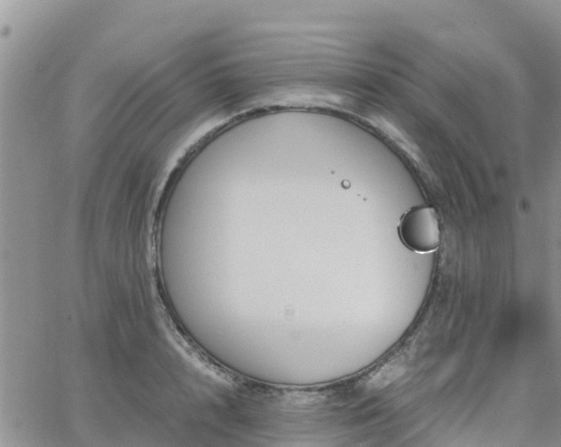 X0000063500848200601231435