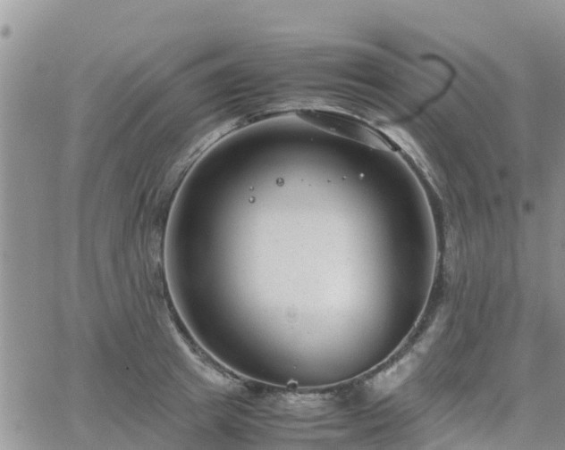 X0000063500849200601231435