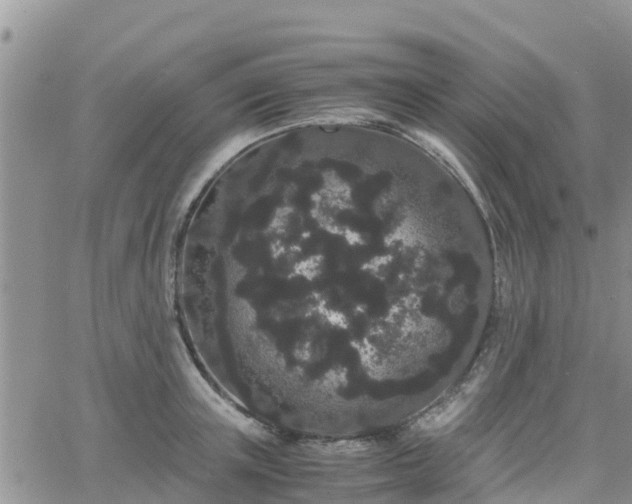 X0000063500851200601231435