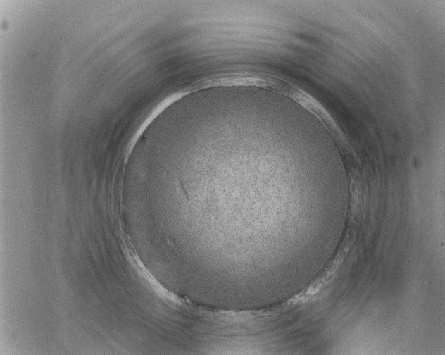 X0000063500852200601231435