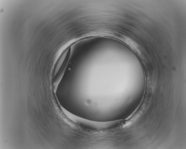 X0000063500854200601231435