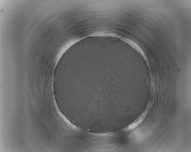 X0000063500855200601231435