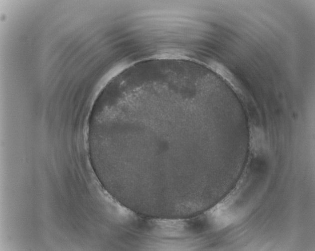 X0000063500856200601231435