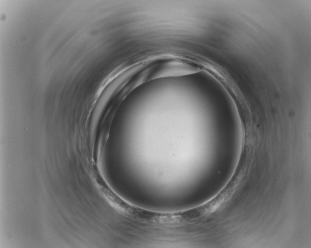 X0000063500858200601231435