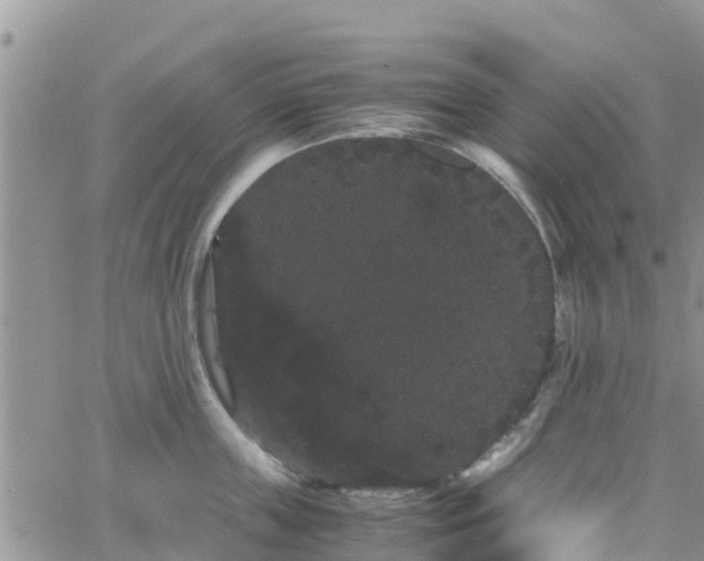 X0000063500859200601231435