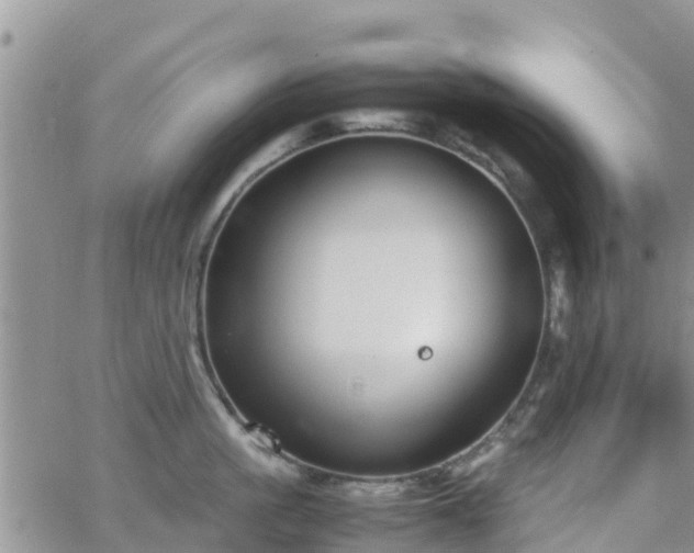 X0000063500861200601231435