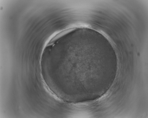 X0000063500864200601231435