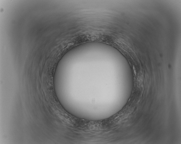 X0000063500865200601231435