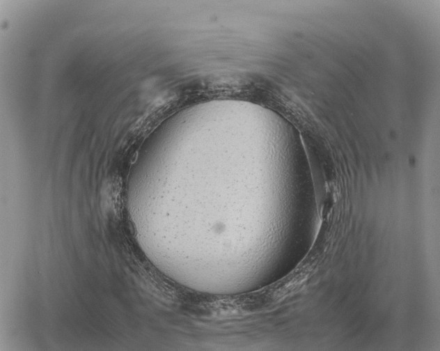 X0000063500867200601231435