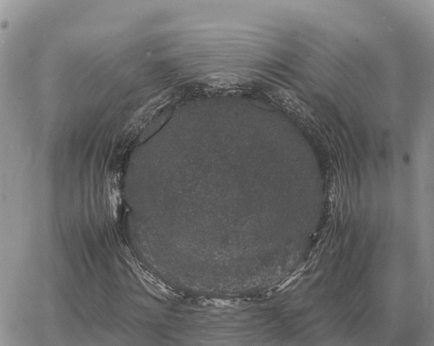 X0000063500868200601231435