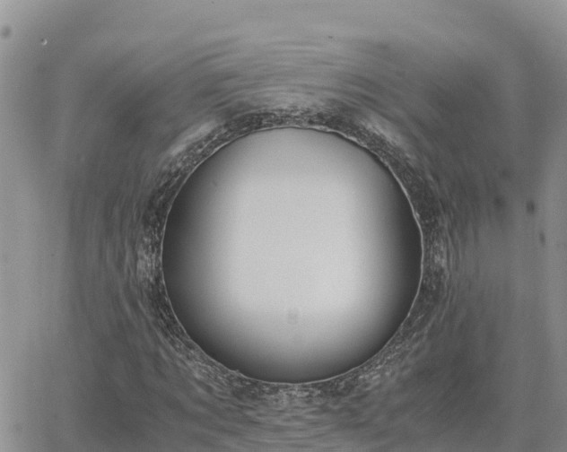 X0000063500869200601231434