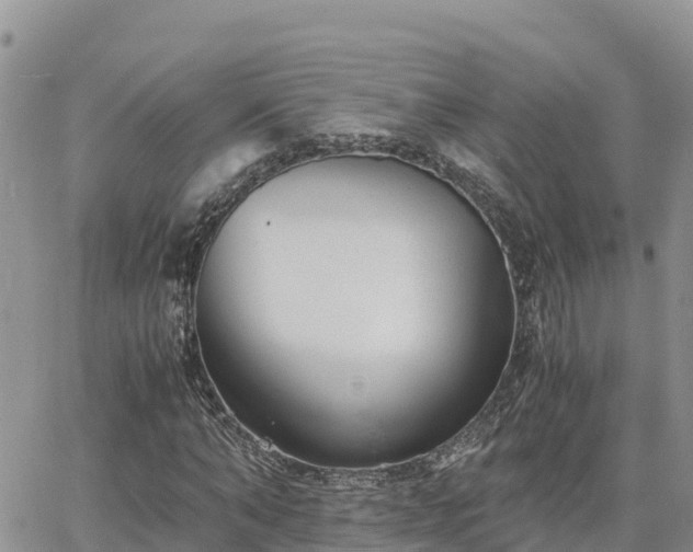 X0000063500870200601231434