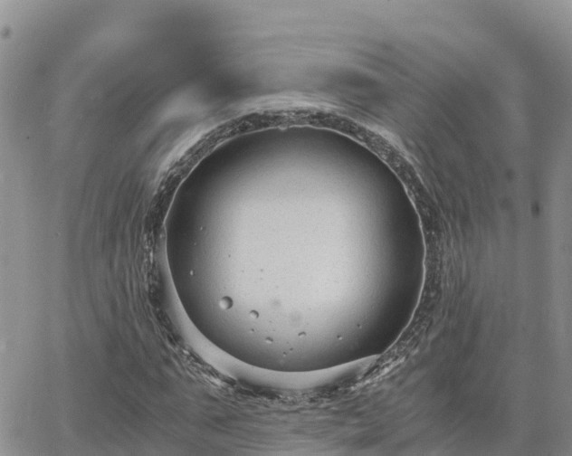 X0000063500871200601231434