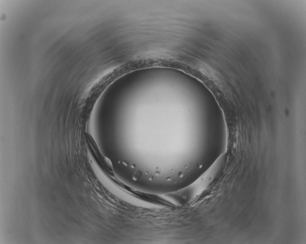 X0000063500872200601231434