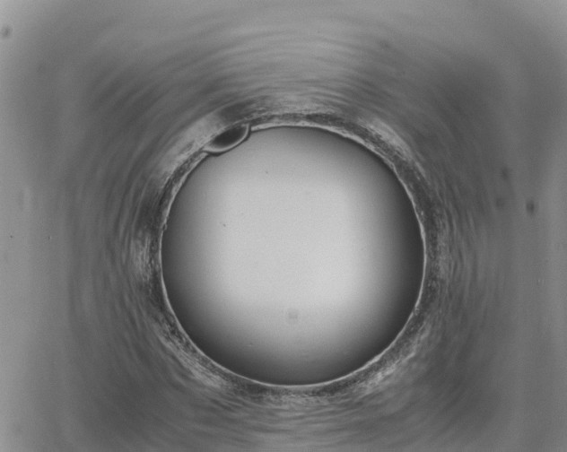 X0000063500873200601231434