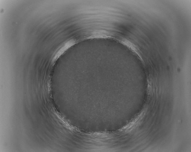 X0000063500874200601231434