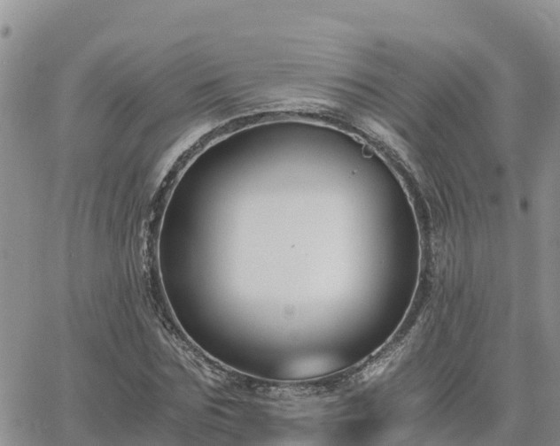 X0000063500875200601231434