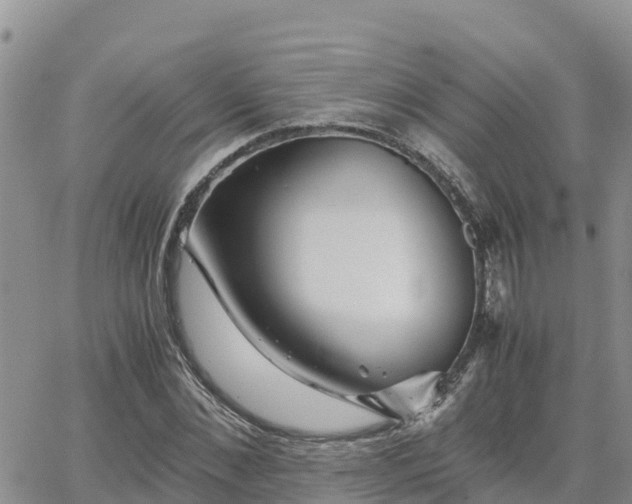 X0000063500876200601231434