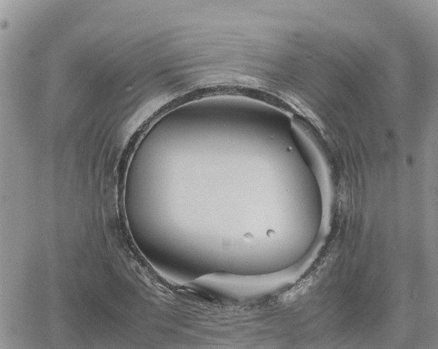 X0000063500877200601231434