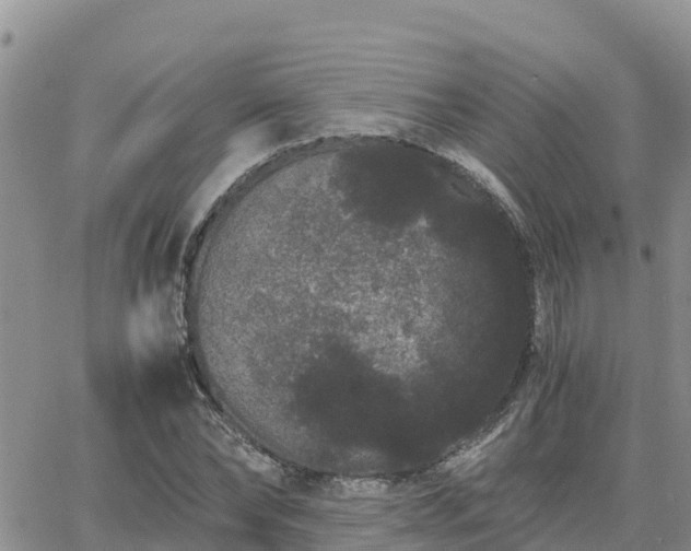 X0000063500878200601231434