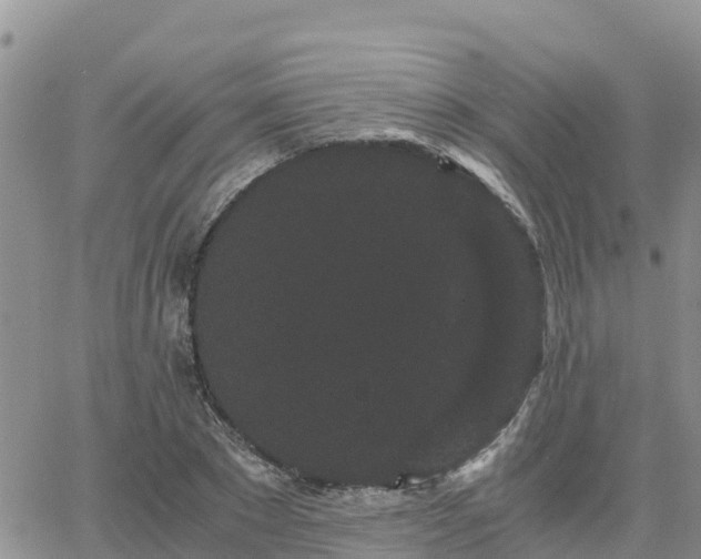 X0000063500881200601231434