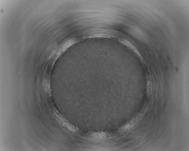 X0000063500882200601231434