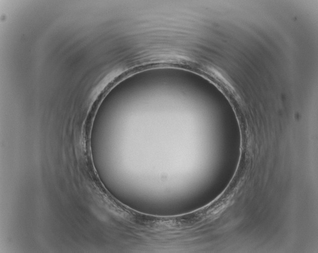 X0000063500883200601231434