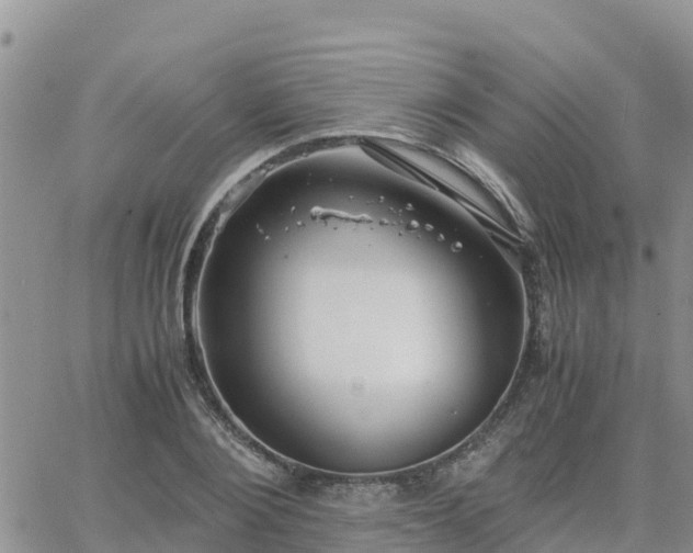 X0000063500884200601231434