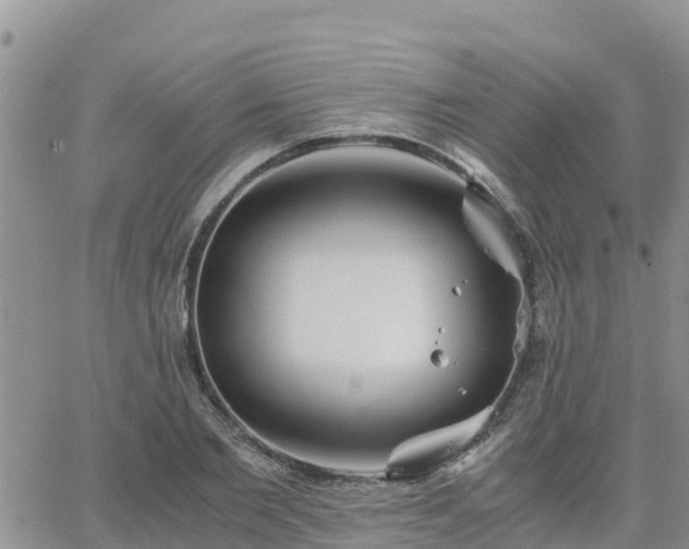 X0000063500885200601231434