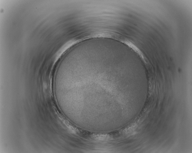 X0000063500886200601231434